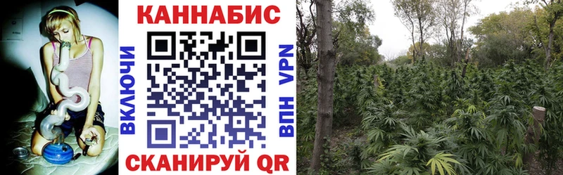 Конопля LSD WEED  что такое наркотик  Зима 